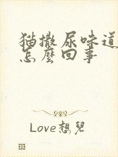 猫撒尿味道大是怎么回事