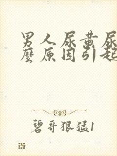 男人尿黄尿是什么原因引起的