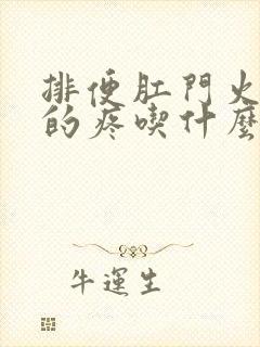 排便肛门火辣辣的疼吃什么药