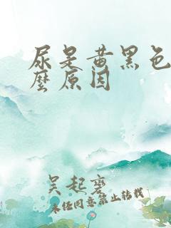 尿是黄黑色是什么原因