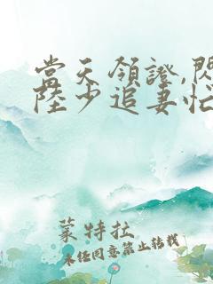 当天领证,闪婚陆少追妻忙