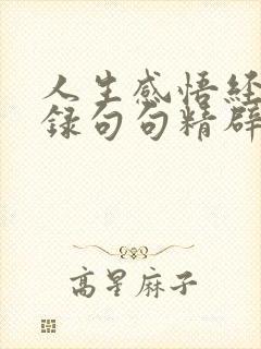 人生感悟经典语录句句精辟入人心