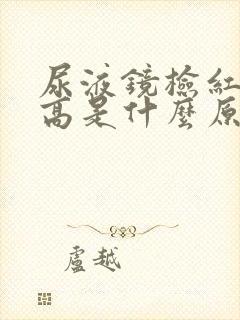 尿液镜检红细胞高是什么原因