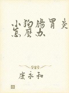 小狗肠胃炎拉血怎么办