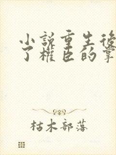 小说重生后我成了权臣的掌中娇外传