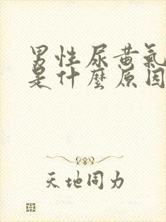 男性尿黄气味大是什么原因引起的