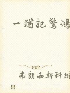 一犹记惊鸿照影