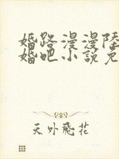 婚路漫漫陆少离婚吧小说免费阅读