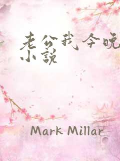 老公我今晚加班小说