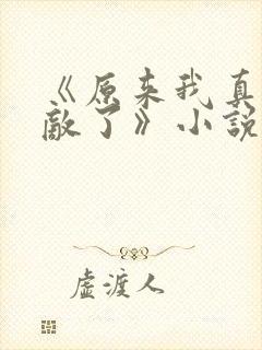 《原来我真的无敌了》小说