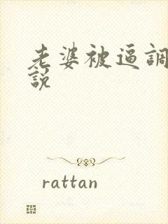 老婆被逼调教小说