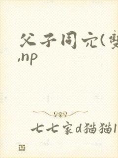 父子同穴(双性,np