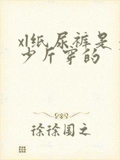 xl纸尿裤是多少斤穿的