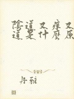 阴道又痒又有味道是什么原因