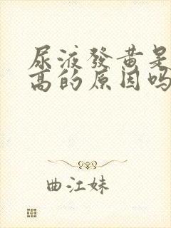 尿液发黄是尿酸高的原因吗