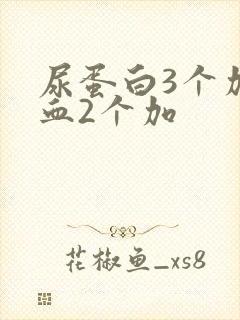 尿蛋白3个加隐血2个加