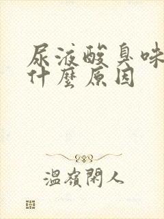 尿液酸臭味很重什么原因