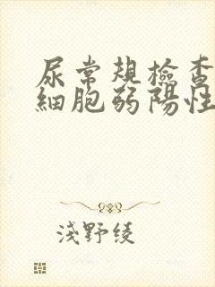 尿常规检查尿白细胞弱阳性