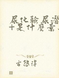 尿化验尿潜血3+是什么意思