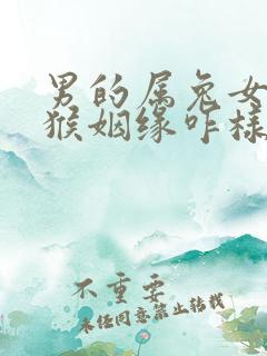 男的属兔女的属猴姻缘咋样