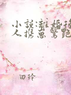 小说:离婚后夫人携崽惊艳全球