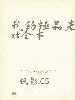 我的极品老婆txt全本