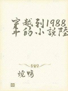 穿越到1988年的小说陆峰