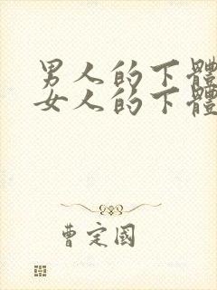 男人的下体插入女人的下体视频