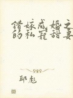 错嫁成婚之总裁的私宠甜妻阅读小说