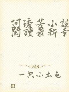 何琇芳小说免费阅读最新章节