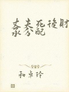 丈夫死后财产继承分配