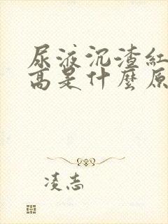 尿液沉渣红细胞高是什么原因