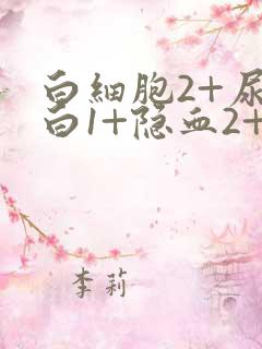 白细胞2+尿蛋白1+隐血2+