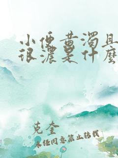 小便黄浊且气味很浓是什么原因