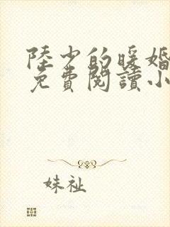 陆少的暖婚新妻免费阅读小说