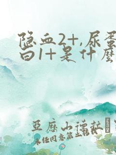 隐血2+,尿蛋白1+是什么意思