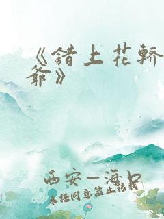 《错上花轿嫁王爷》