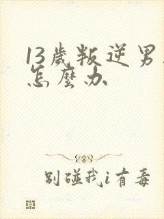 13岁叛逆男孩怎么办