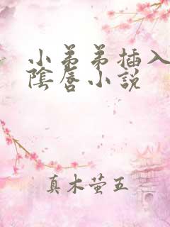 小弟弟插入老姐阴唇小说