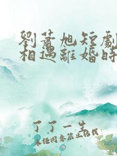 刘萧旭短剧幸得相遇离婚时