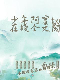 少年阿宾txt在线全文阅读