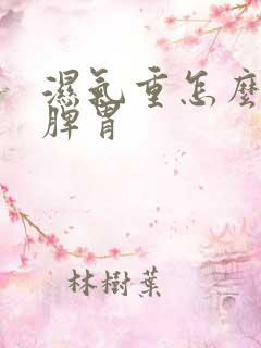 湿气重怎么调养脾胃