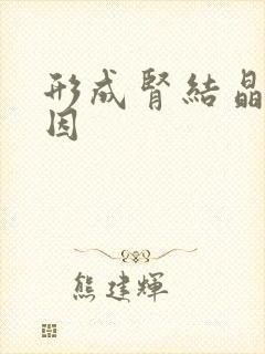 形成肾结晶的原因