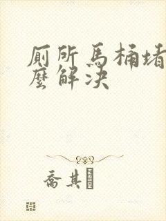 厕所马桶堵了怎么解决