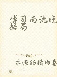 傅司南沈晚音大结局