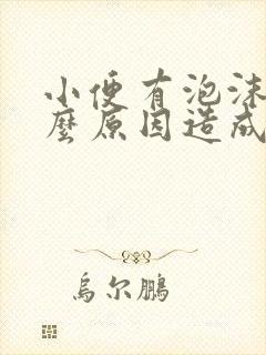 小便有泡沫是什么原因造成的