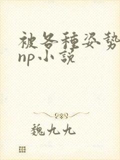 被各种姿势玩弄np小说