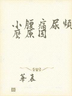 小腹痛尿频是什么原因