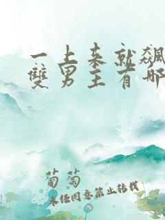 一上来就飙车的双男主有哪些小说