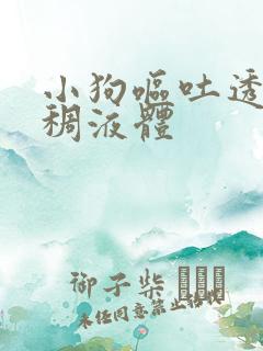 小狗呕吐透明粘稠液体